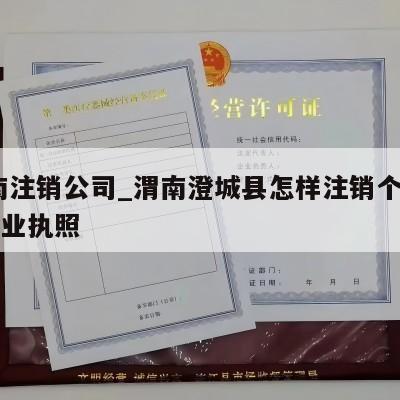  渭南注销公司_渭南澄城县怎样注销个体工商营业执照
