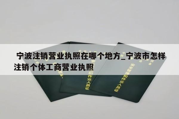  宁波注销营业执照在哪个地方_宁波市怎样注销个体工商营业执照