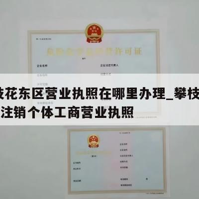  攀枝花东区营业执照在哪里办理_攀枝花市怎样注销个体工商营业执照