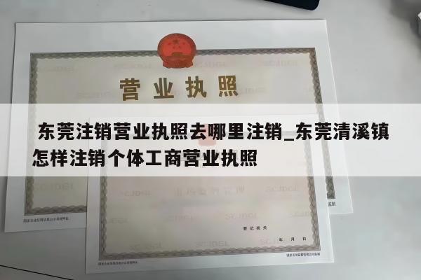  东莞注销营业执照去哪里注销_东莞清溪镇怎样注销个体工商营业执照