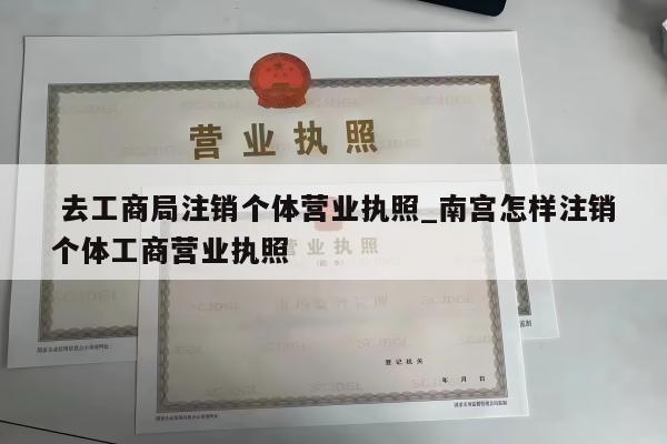  去工商局注销个体营业执照_南宫怎样注销个体工商营业执照