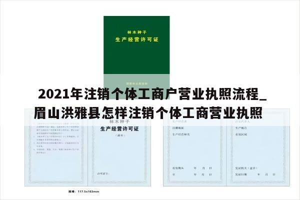 2021年注销个体工商户营业执照流程_眉山洪雅县怎样注销个体工商营业执照