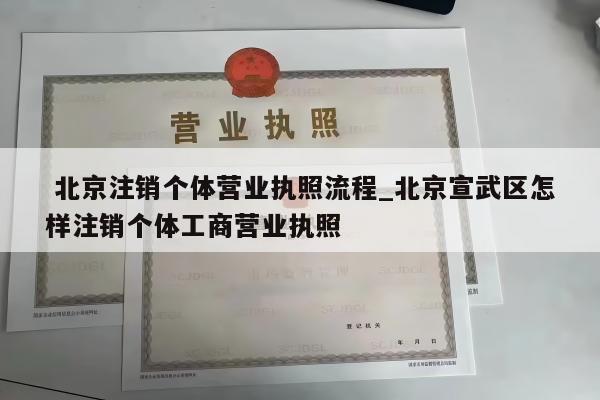  北京注销个体营业执照流程_北京宣武区怎样注销个体工商营业执照