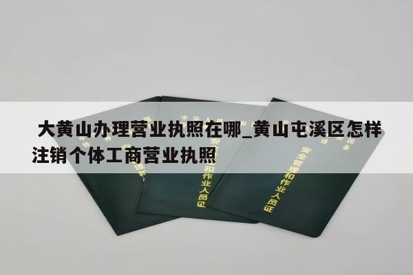  大黄山办理营业执照在哪_黄山屯溪区怎样注销个体工商营业执照
