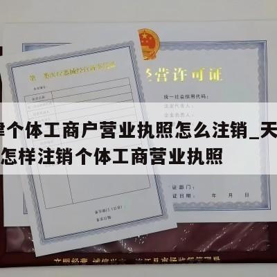  天津个体工商户营业执照怎么注销_天津河北区怎样注销个体工商营业执照