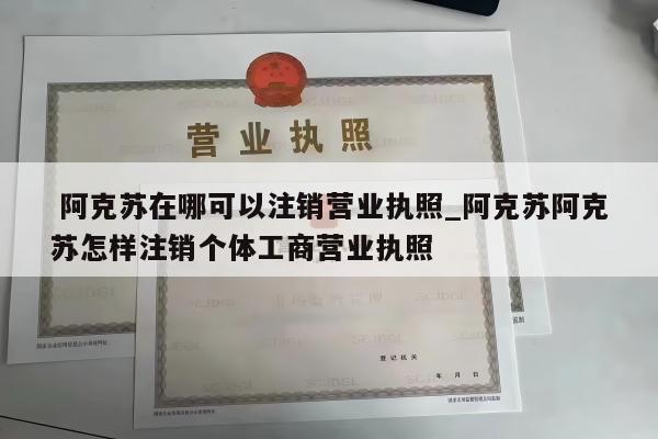  阿克苏在哪可以注销营业执照_阿克苏阿克苏怎样注销个体工商营业执照