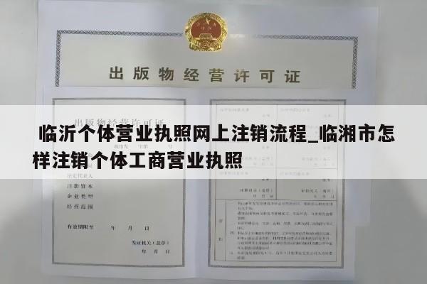  临沂个体营业执照网上注销流程_临湘市怎样注销个体工商营业执照