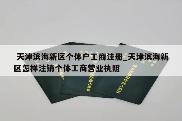  天津滨海新区个体户工商注册_天津滨海新区怎样注销个体工商营业执照