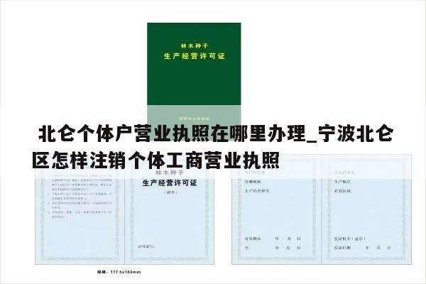  北仑个体户营业执照在哪里办理_宁波北仑区怎样注销个体工商营业执照