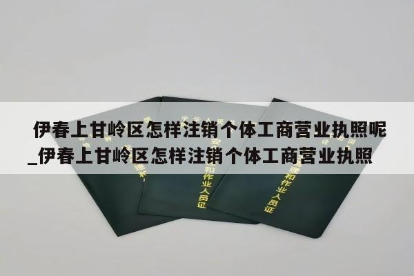  伊春上甘岭区怎样注销个体工商营业执照呢_伊春上甘岭区怎样注销个体工商营业执照
