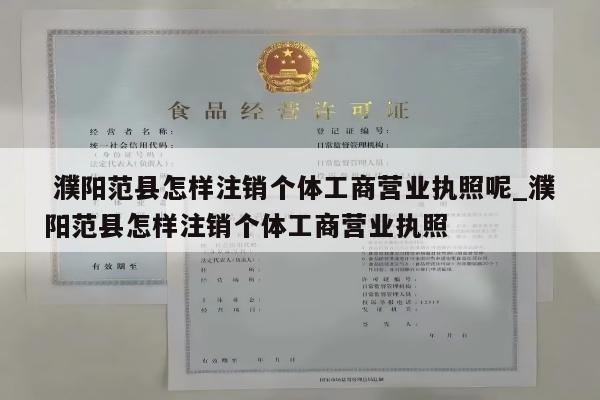  濮阳范县怎样注销个体工商营业执照呢_濮阳范县怎样注销个体工商营业执照