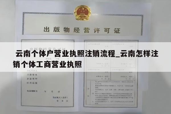  云南个体户营业执照注销流程_云南怎样注销个体工商营业执照