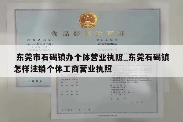  东莞市石碣镇办个体营业执照_东莞石碣镇怎样注销个体工商营业执照