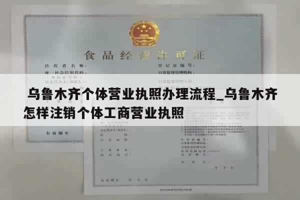  乌鲁木齐个体营业执照办理流程_乌鲁木齐怎样注销个体工商营业执照