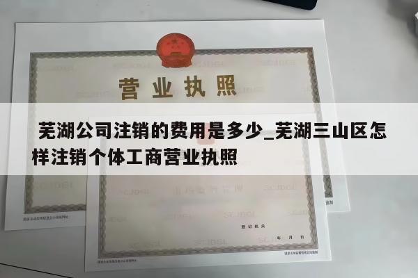  芜湖公司注销的费用是多少_芜湖三山区怎样注销个体工商营业执照