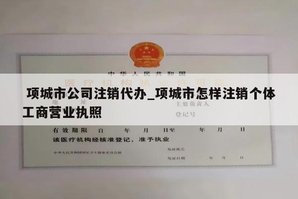  项城市公司注销代办_项城市怎样注销个体工商营业执照