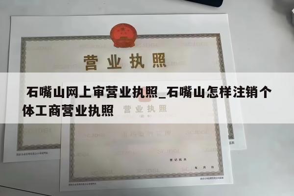  石嘴山网上审营业执照_石嘴山怎样注销个体工商营业执照