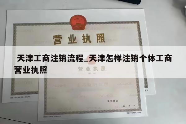  天津工商注销流程_天津怎样注销个体工商营业执照