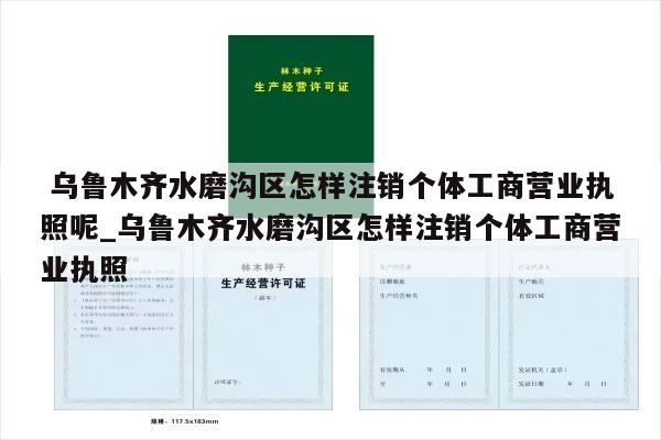  乌鲁木齐水磨沟区怎样注销个体工商营业执照呢_乌鲁木齐水磨沟区怎样注销个体工商营业执照