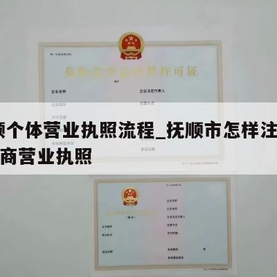  抚顺个体营业执照流程_抚顺市怎样注销个体工商营业执照