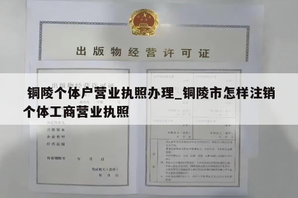 铜陵个体户营业执照办理_铜陵市怎样注销个体工商营业执照