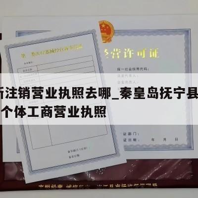  阜新注销营业执照去哪_秦皇岛抚宁县怎样注销个体工商营业执照