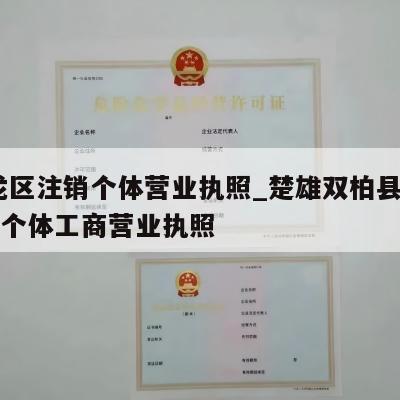  盘龙区注销个体营业执照_楚雄双柏县怎样注销个体工商营业执照