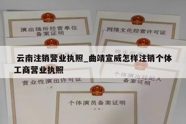  云南注销营业执照_曲靖宣威怎样注销个体工商营业执照