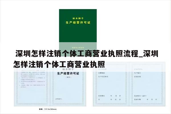  深圳怎样注销个体工商营业执照流程_深圳怎样注销个体工商营业执照