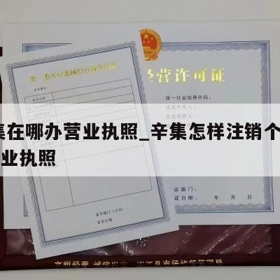  辛集在哪办营业执照_辛集怎样注销个体工商营业执照