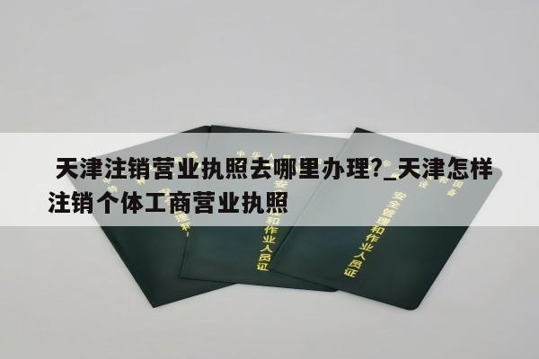  天津注销营业执照去哪里办理?_天津怎样注销个体工商营业执照