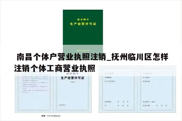  南昌个体户营业执照注销_抚州临川区怎样注销个体工商营业执照