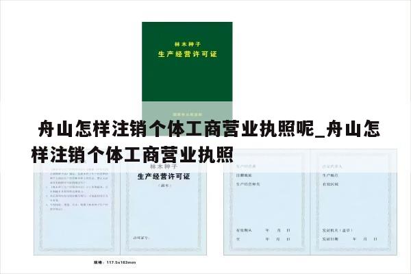  舟山怎样注销个体工商营业执照呢_舟山怎样注销个体工商营业执照