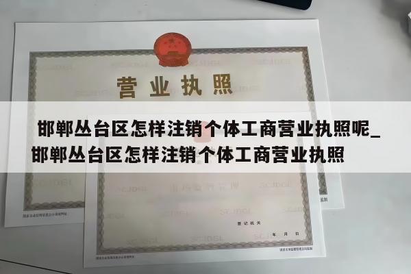 邯郸丛台区怎样注销个体工商营业执照呢_邯郸丛台区怎样注销个体工商营业执照