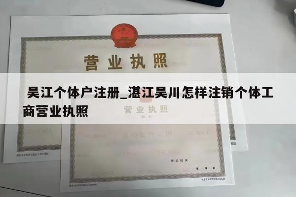  吴江个体户注册_湛江吴川怎样注销个体工商营业执照