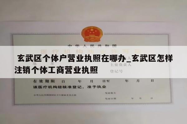  玄武区个体户营业执照在哪办_玄武区怎样注销个体工商营业执照