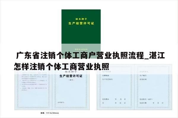  广东省注销个体工商户营业执照流程_湛江怎样注销个体工商营业执照
