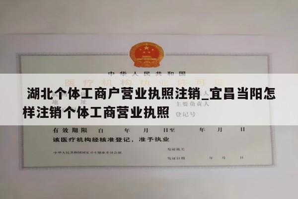  湖北个体工商户营业执照注销_宜昌当阳怎样注销个体工商营业执照