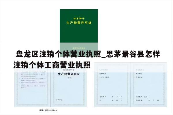  盘龙区注销个体营业执照_思茅景谷县怎样注销个体工商营业执照