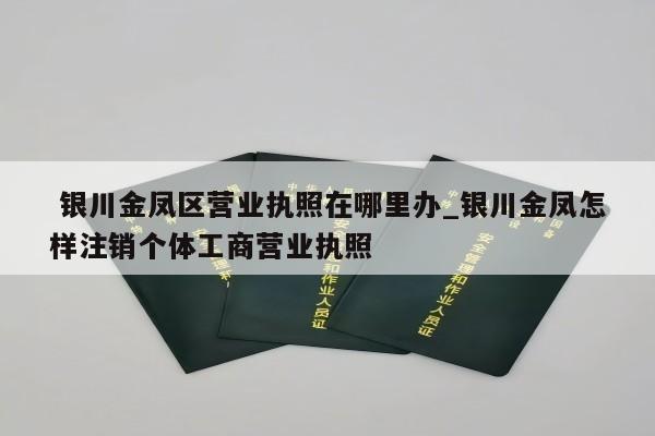  银川金凤区营业执照在哪里办_银川金凤怎样注销个体工商营业执照
