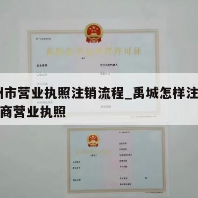  禹州市营业执照注销流程_禹城怎样注销个体工商营业执照