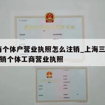  上海个体户营业执照怎么注销_上海三林怎样注销个体工商营业执照