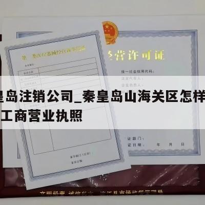  秦皇岛注销公司_秦皇岛山海关区怎样注销个体工商营业执照