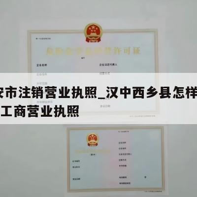  西安市注销营业执照_汉中西乡县怎样注销个体工商营业执照