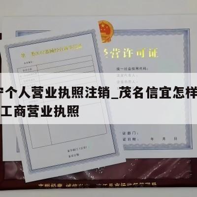  普宁个人营业执照注销_茂名信宜怎样注销个体工商营业执照