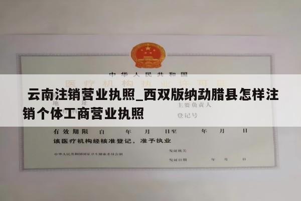  云南注销营业执照_西双版纳勐腊县怎样注销个体工商营业执照