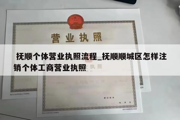  抚顺个体营业执照流程_抚顺顺城区怎样注销个体工商营业执照