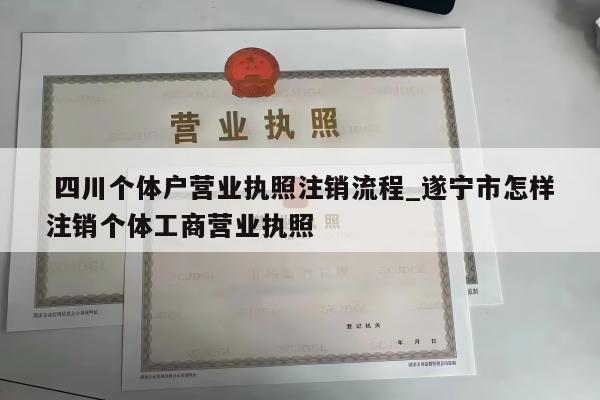  四川个体户营业执照注销流程_遂宁市怎样注销个体工商营业执照