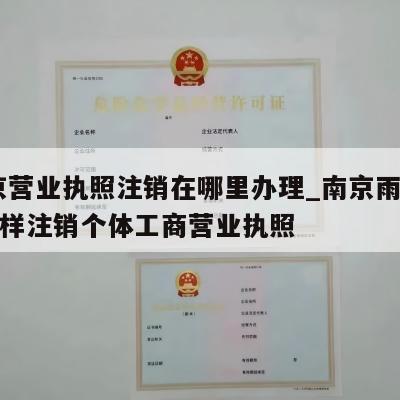  南京营业执照注销在哪里办理_南京雨花台区怎样注销个体工商营业执照