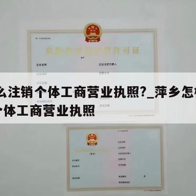  怎么注销个体工商营业执照?_萍乡怎样注销个体工商营业执照